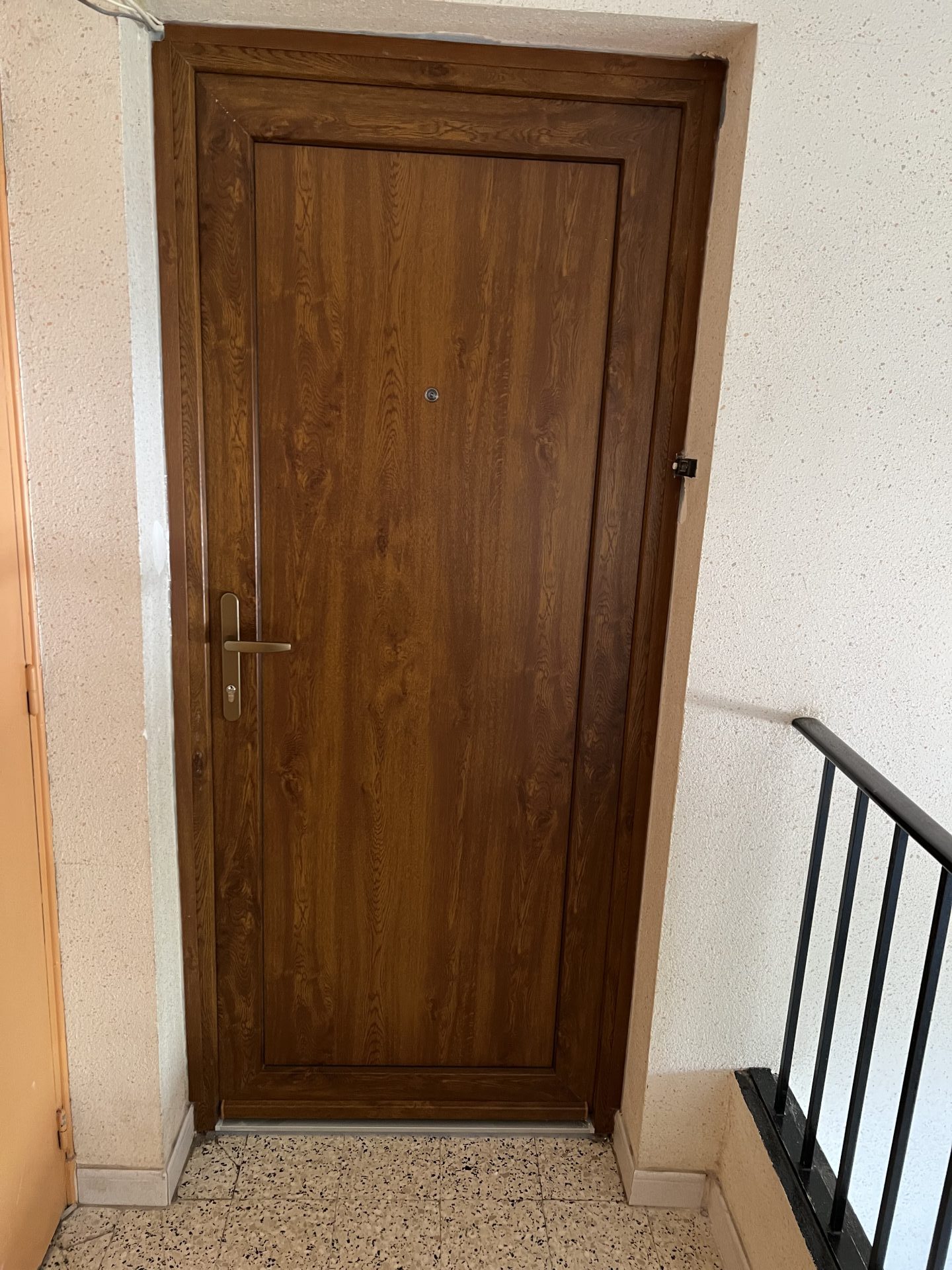Porte d'entrée finition chêne doré